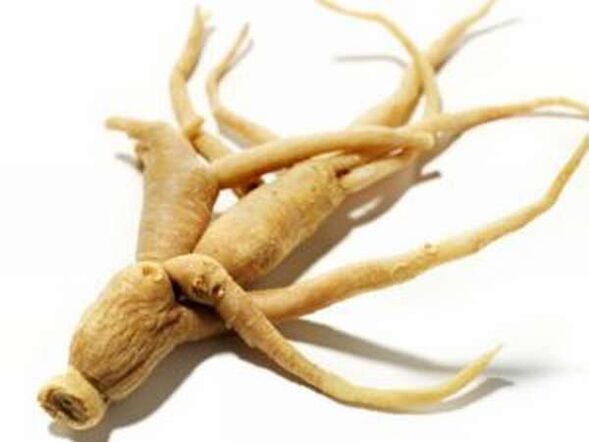 Ginseng kökü